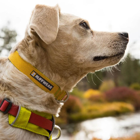 Ruffwear Hi & Light™ Collar
