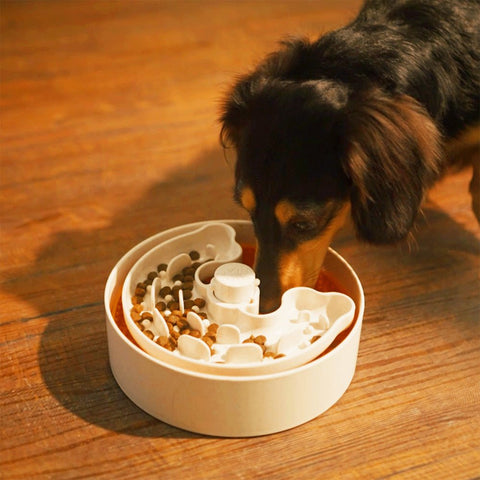 Puzzle Feeder™ Lick Bowl Lite - Triple Textures, Triple Fun