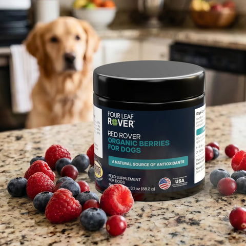 Four Leaf Rover Red Rover | Organic Berries Antioxidant