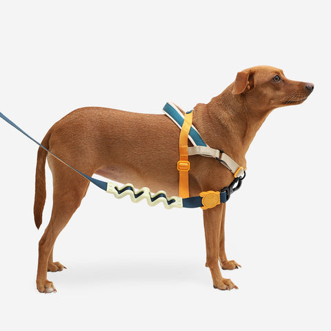 Zee.Dog SofterWalk Harness | No-Pull