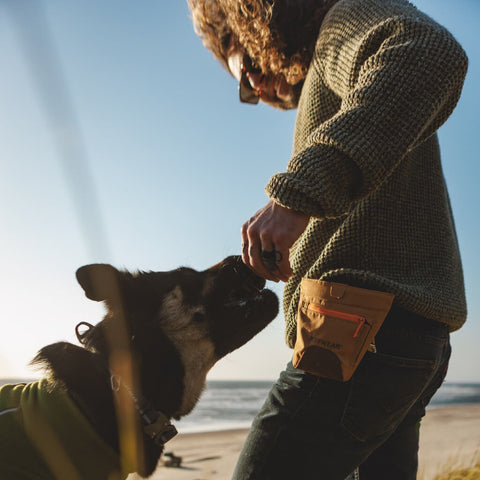 Ruffwear Treat Trader™ Treat Pouch