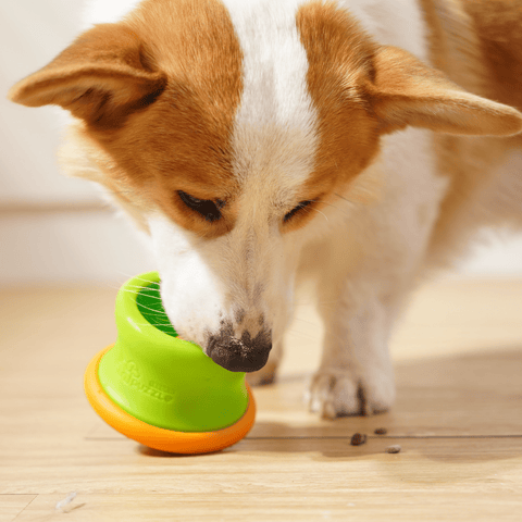 Puzzle Feeder™ Dog Puzzle Tumbler - Enrichment Toy