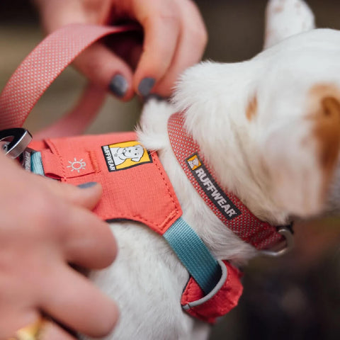 Ruffwear Hi & Light™ Collar