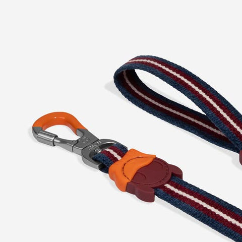 Zee.Dog Classic Leash | Velvet Vibes Collection
