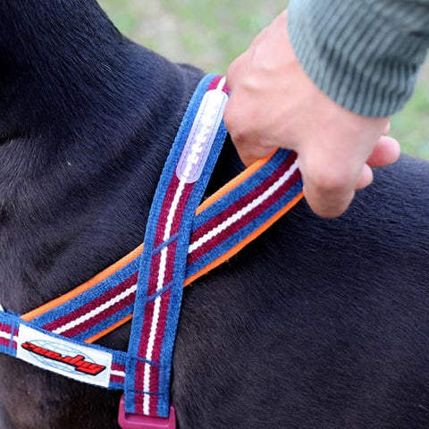 Zee.Dog SofterWalk Harness | No-Pull