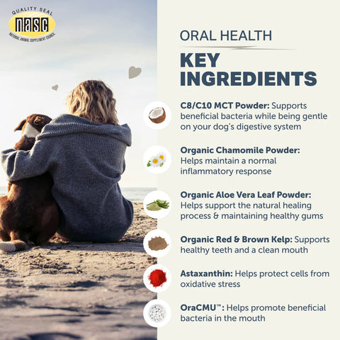 Four Leaf Rover Oral Probiotics | Dental Powder