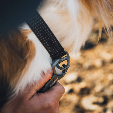 Ruffwear Ridgeline™ Collar