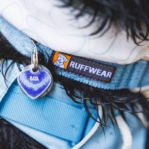 Ruffwear Front Range™ Flex Collar