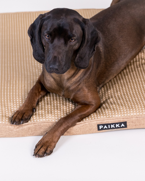 PAIKKA Cooling Orthopedic Mattress | Taupe