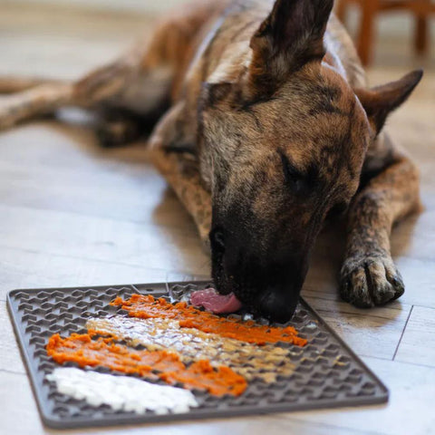 Messy Mutts Silicone Reversible Interactive Dog Lick Mat