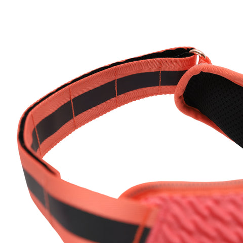 Zee.Dog FlyHarness