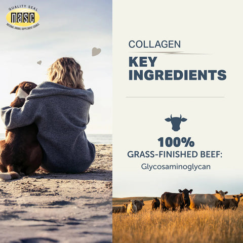 Four Leaf Rover Type II Collagen Peptides | Bone & Joint Support