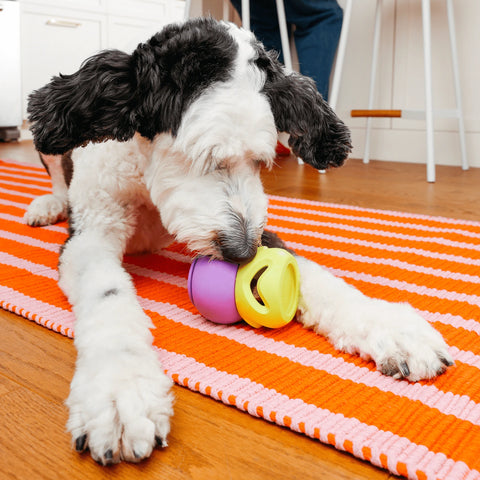 WAGLAB Playstack | The Boomerang