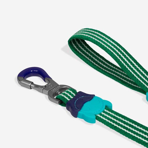 Zee.Dog Classic Leash | Velvet Vibes Collection