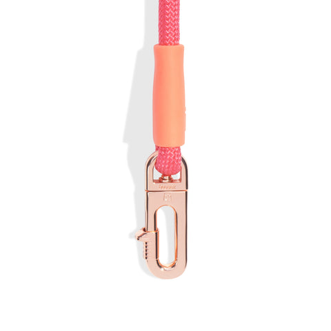Zee.Dog Hands-Free Leash