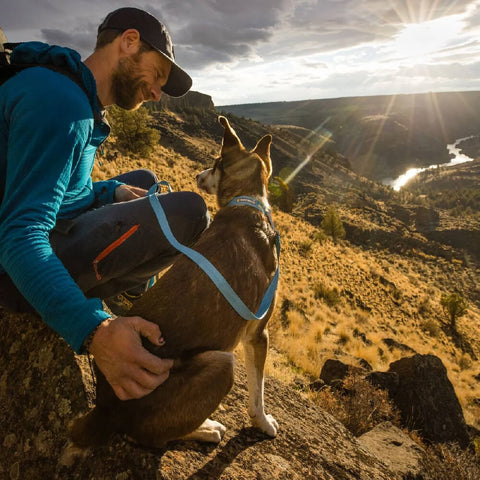 Ruffwear Flagline™ Leash