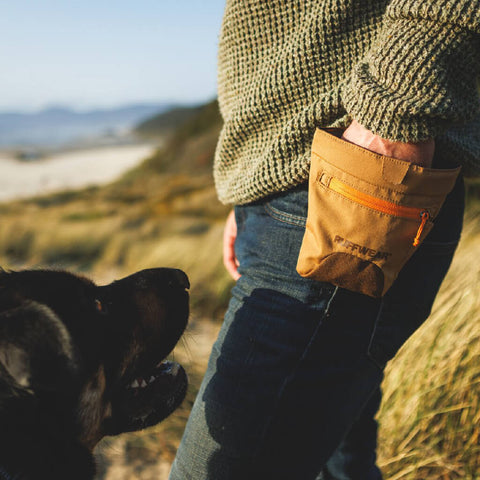Ruffwear Treat Trader™ Treat Pouch