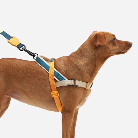 Zee.Dog SofterWalk Harness | No-Pull