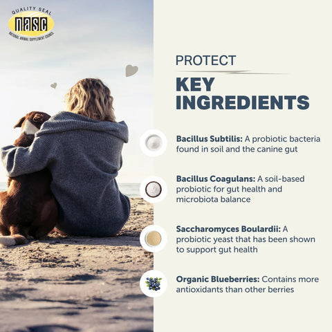 Four Leaf Rover Protect | Soil Based Everyday Probiotics