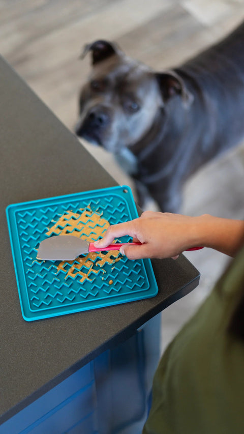 Messy Mutts Silicone Therapeutic Licking Mat with Silicone Spatula