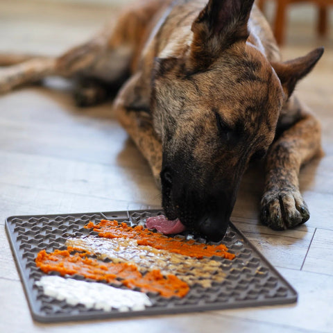 Messy Mutts Silicone Therapeutic Large Lick Mat For Dogs