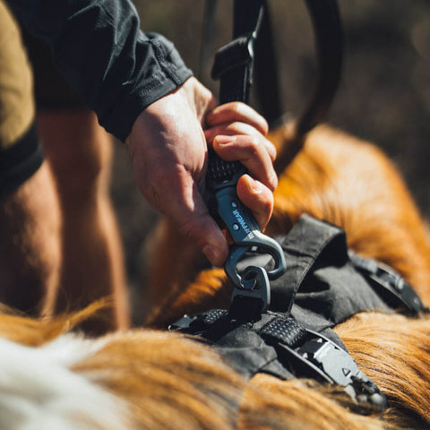 Ruffwear Ridgeline™ Leash