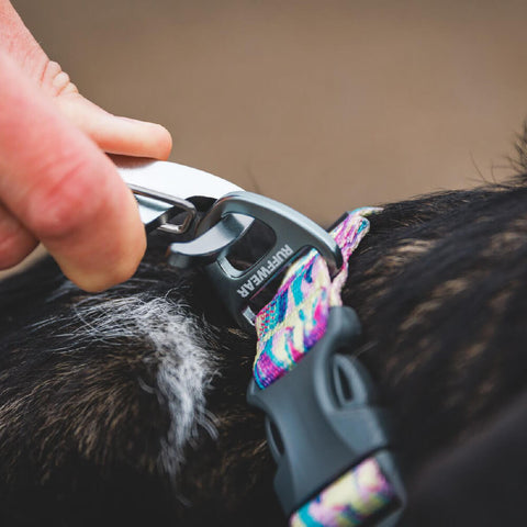Ruffwear Front Range™ Leash