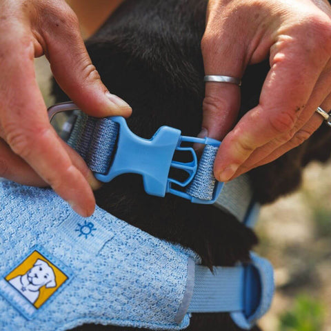 Ruffwear Front Range™ Flex Collar