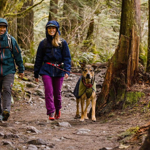 Ruffwear Sun Shower™ Reflective Lightweight Dog Raincoat