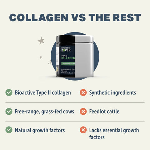 Four Leaf Rover Type II Collagen Peptides | Bone & Joint Support