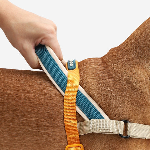 Zee.Dog SofterWalk Harness | No-Pull