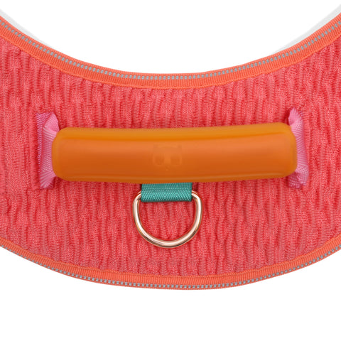 Zee.Dog FlyHarness