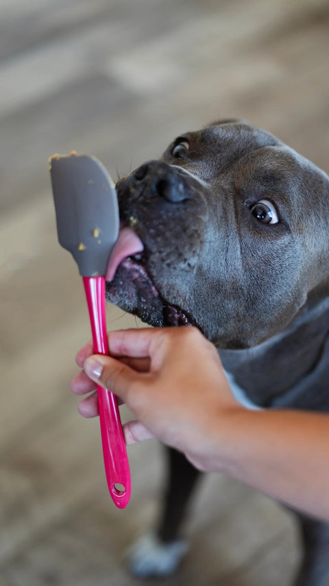 Messy Mutts Silicone Therapeutic Licking Mat with Silicone Spatula