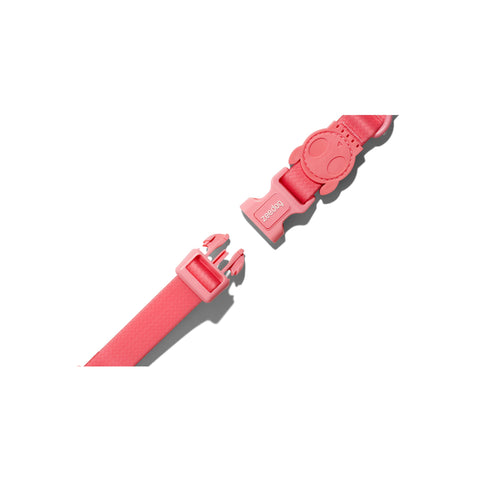 Zee.Dog Collar | NeoPro Waterproof Collection