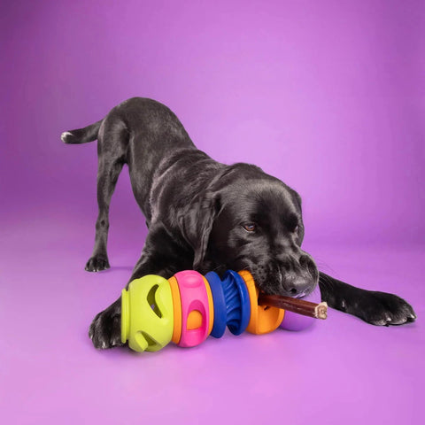 WAGLAB Playstack | The Squiggle