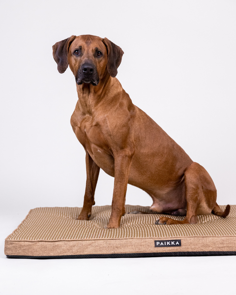 PAIKKA Cooling Orthopedic Mattress | Taupe