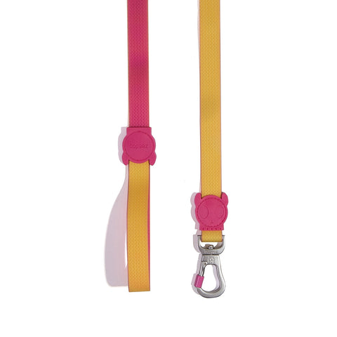 Zee.Dog Classic Leash | NeoPro Waterproof Collection