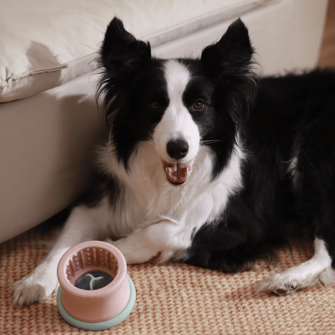 Puzzle Feeder™ Dog Puzzle Tumbler - Enrichment Toy