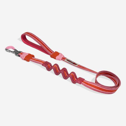 Zee.Dog Ruff Leash 2.0 | Velvet Vibes Collection