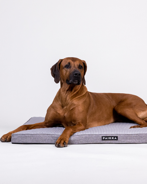 PAIKKA Cooling Orthopedic Mattress | Grey