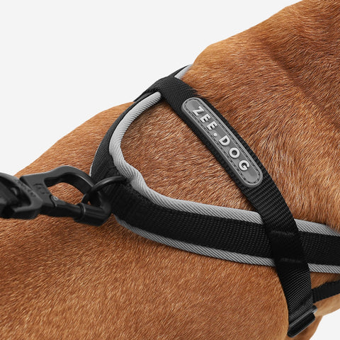 Zee.Dog SofterWalk Harness | No-Pull