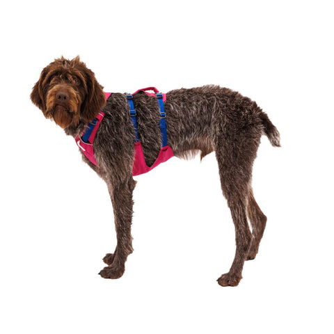 Ruffwear Flagline™ Harness