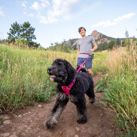 Ruffwear Front Range™ Leash