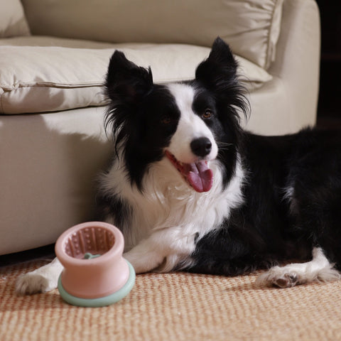 Puzzle Feeder™ Dog Puzzle Tumbler - Enrichment Toy