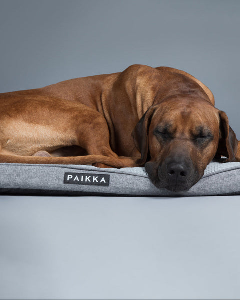 PAIKKA Cooling Orthopedic Mattress | Grey
