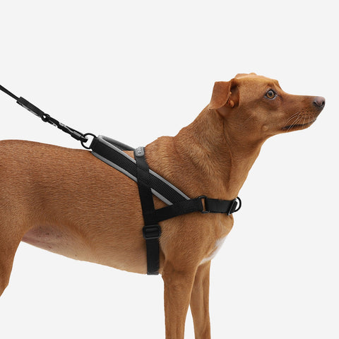 Zee.Dog SofterWalk Harness | No-Pull