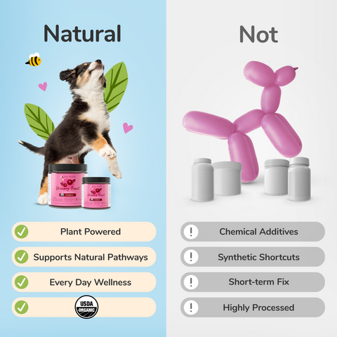 kin+kind Organic Supplement - Urinary Tract