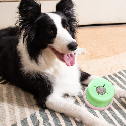 Puzzle Feeder™ Lickpop Interactive Dog Toy | Treat Dispensing