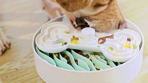 Puzzle Feeder™ Wave - An Ultimate Slow Feeder.