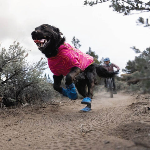 Ruffwear Hi & Light™ Trail Shoes
